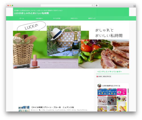 St lazy load WordPress plugin - b-luck.com
