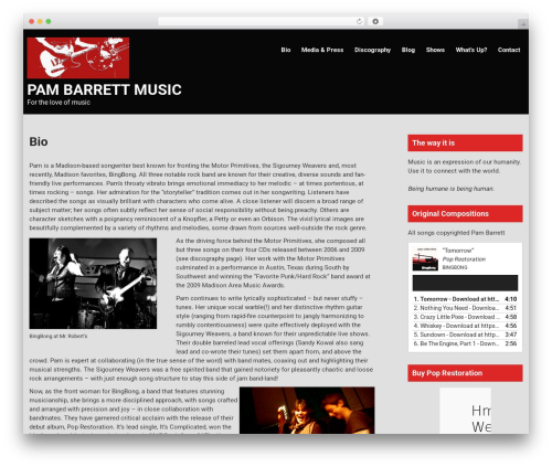 Creative Lite WordPress theme design - pambarrettmusic.com