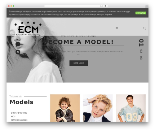 Custom content models WordPress plugin - ecma.lt