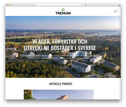 The Sceleton theme best WordPress theme - trenum.se
