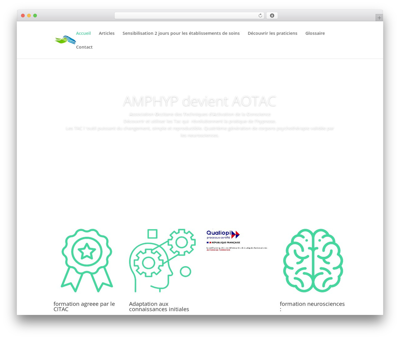WordPress theme Divi - amphyp.com