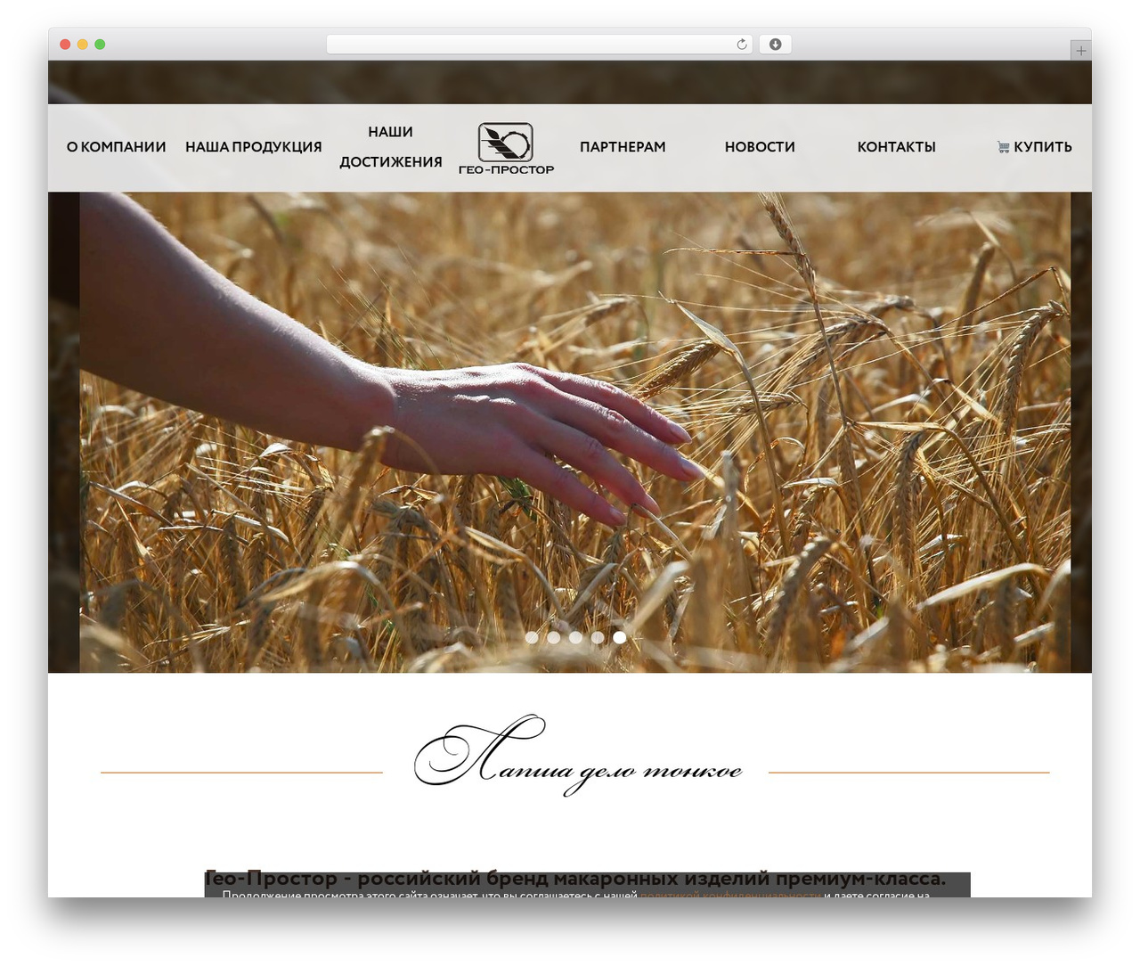 WordPress theme Theme Name - geoprostor.ru