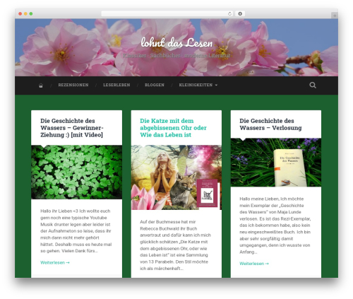 Social Stickers (social-stickers) free WordPress plugin - lohntdaslesen.de