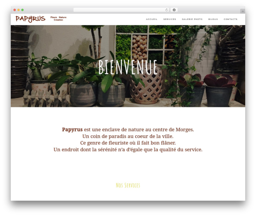Comet WP best WordPress theme - papyrus-fleuriste.ch