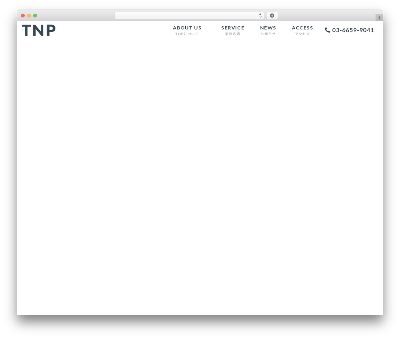 custom WordPress theme - tnp-planning.com custom WordPress theme - tnp-planning.com