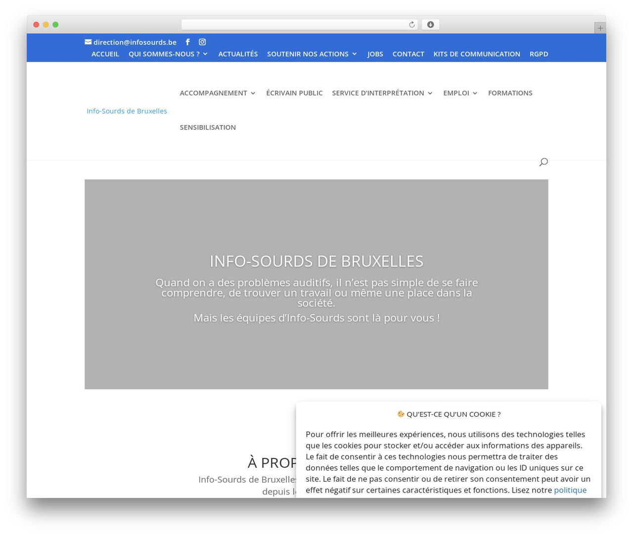 Divi WordPress theme design - infosourds.be