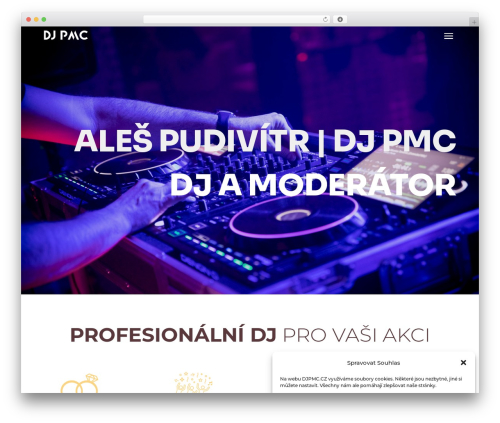 Digr post grid WordPress plugin - djpmc.cz