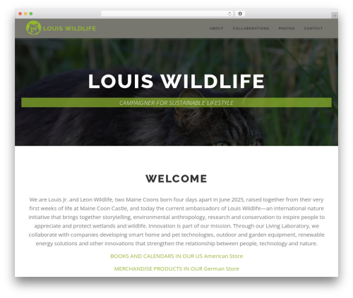 Video gallery and Player (html5-videogallery-plus-player) free WordPress plugin - louiswildlife.com Video gallery and Player (html5-videogallery-plus-player) free WordPress plugin - louiswildlife.com