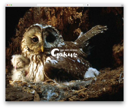 WordPress website theme 写真家宮崎学公式サイト「森の３６５日」 - owlet.net