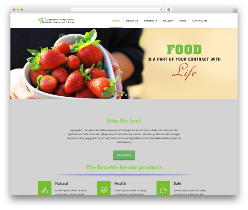 Buddhathemes core features WordPress plugin - agrogad.com