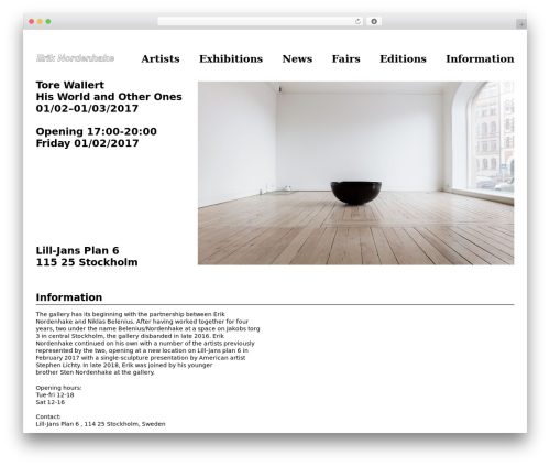 Theme WordPress Divi - eriknordenhake.com