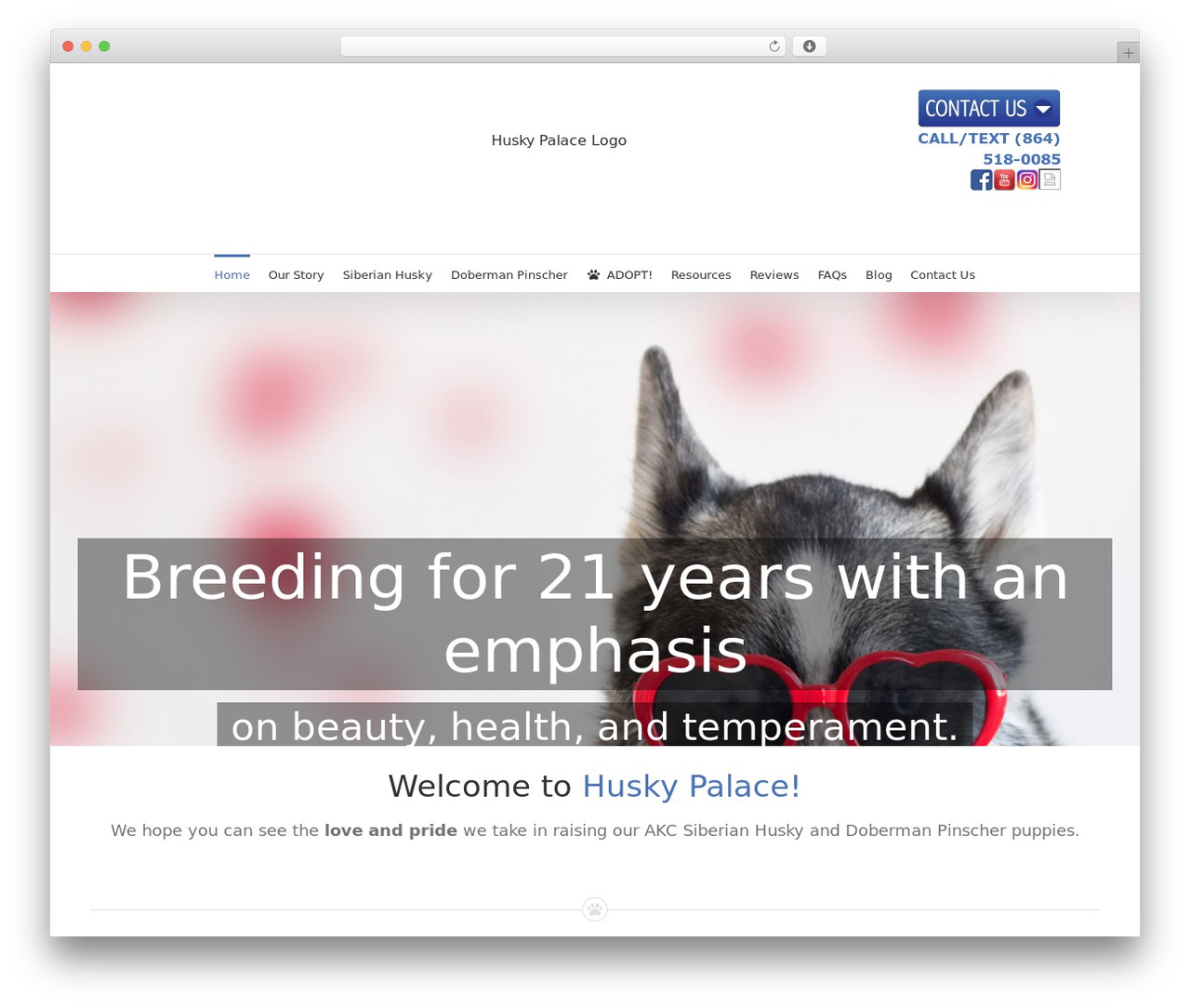 WordPress theme Avada Child - huskypalace.com WordPress theme Avada Child - huskypalace.com