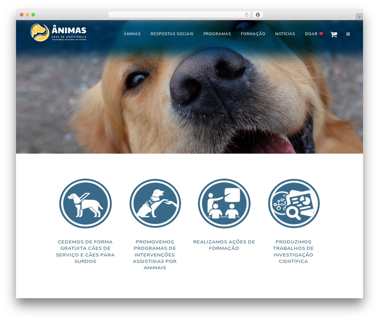 WordPress theme Bridge - animasportugal.org WordPress theme Bridge - animasportugal.org