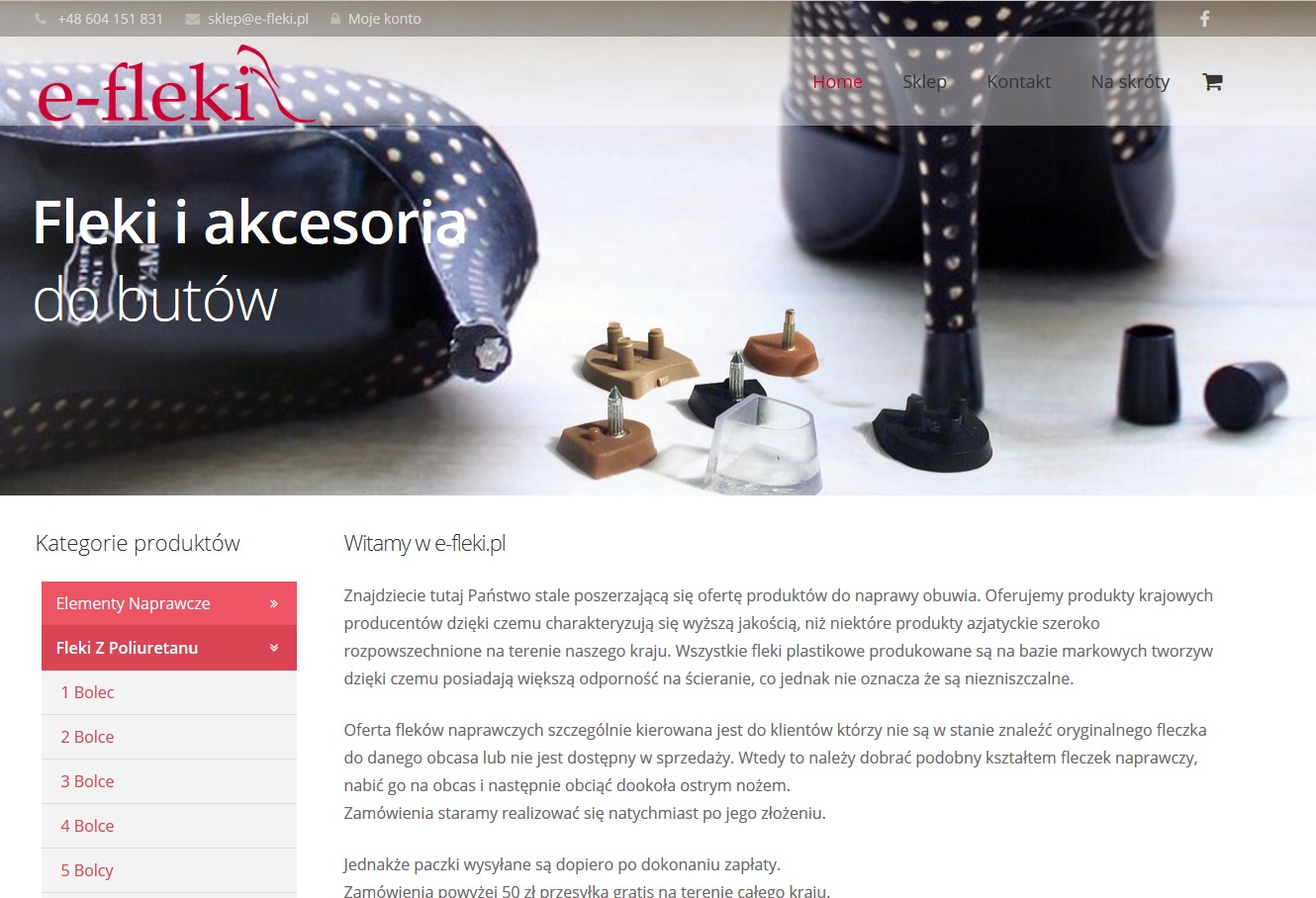 WordPress theme e-fleki WordPress theme e-fleki