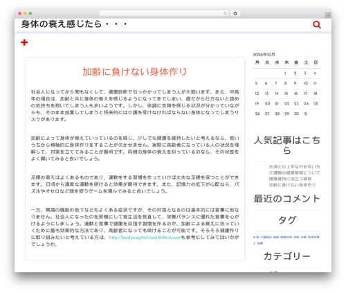 Briks WordPress theme - pinglots.com