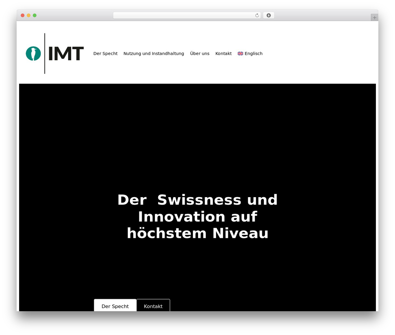 Builder Theme WP theme - imt-medical.com