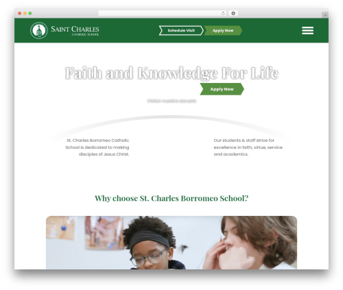 Divi theme WordPress - stchbschool.org