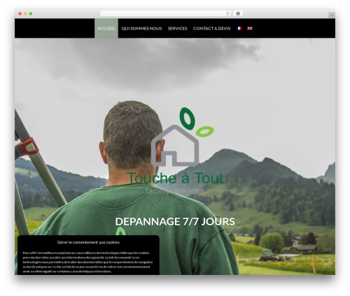 Mobile info_0.0.1 WordPress plugin - touche-a-tout.ch