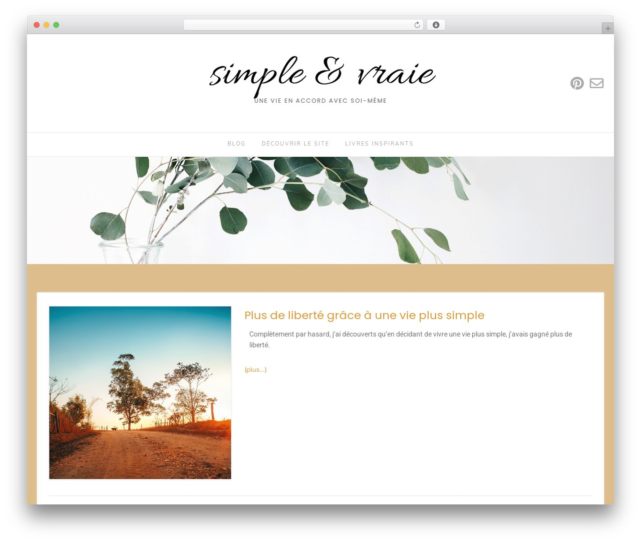 WordPress theme Avant - simpleetvraie.com WordPress theme Avant - simpleetvraie.com