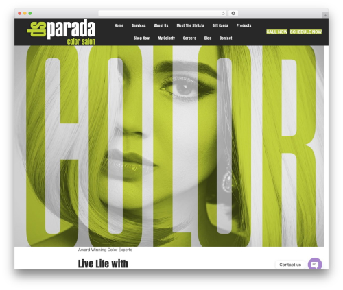 WordPress theme Beaver Builder Theme - dsparada.com