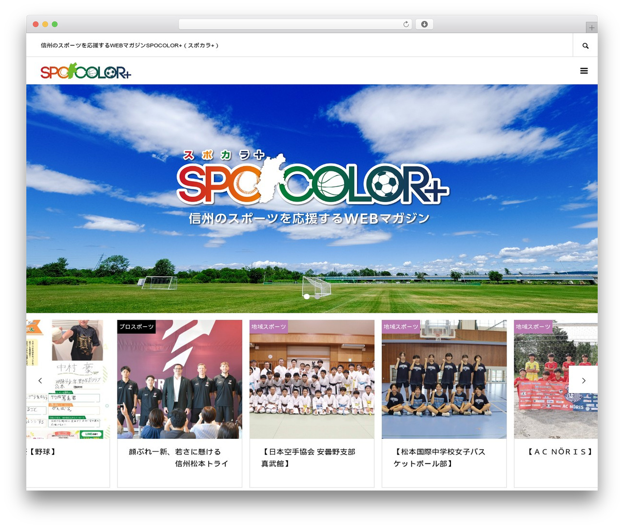 WordPress theme EVERY - spocolor.com
