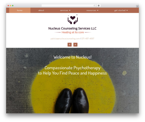 WordPress theme Megatheme - nucleuscounselingservices.com
