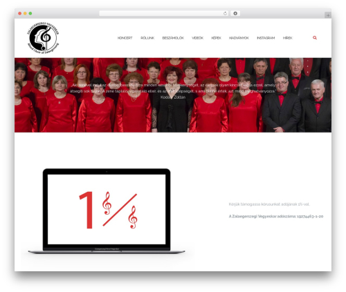 Shapely Companion (shapely-companion) free WordPress plugin - zegivegyeskar.hu
