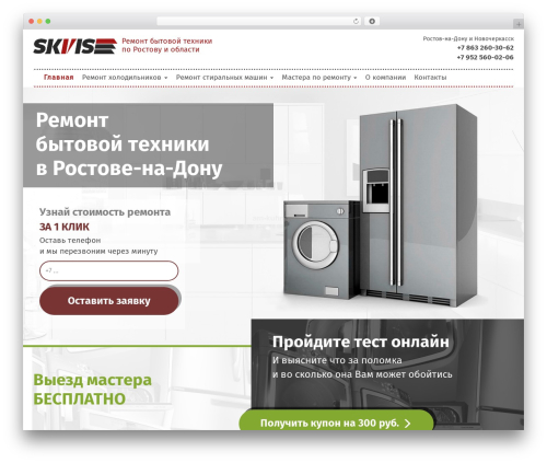 Custom Theme WP template - skvis.ru