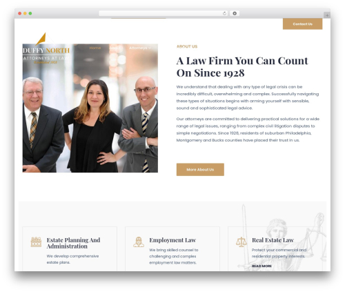 Bravis theme core WordPress plugin - duffynorth.com