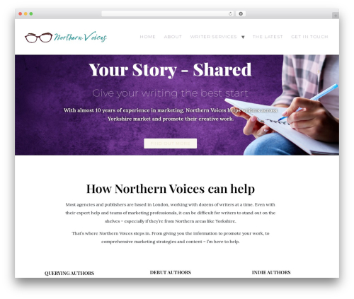Beyond seo WordPress plugin - northernvoicescontent.co.uk