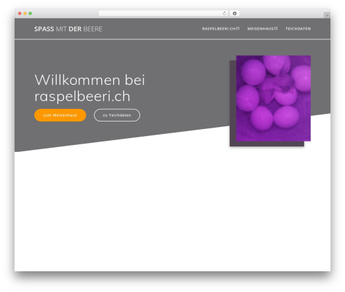Gosign – Gallery box Block (gosign-gallery-box-block) free WordPress plugin - raspelbeeri.ch Gosign – Gallery box Block (gosign-gallery-box-block) free WordPress plugin - raspelbeeri.ch
