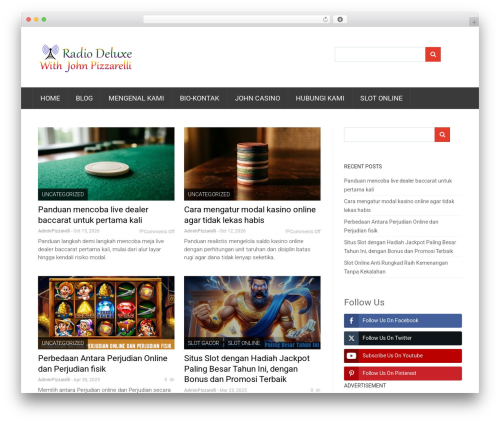 Skin WordPress theme - radiodeluxewithjohnpizzarelli.com