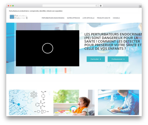 Theme WordPress Storefront - perturbateur-endocrinien.com Theme WordPress Storefront - perturbateur-endocrinien.com