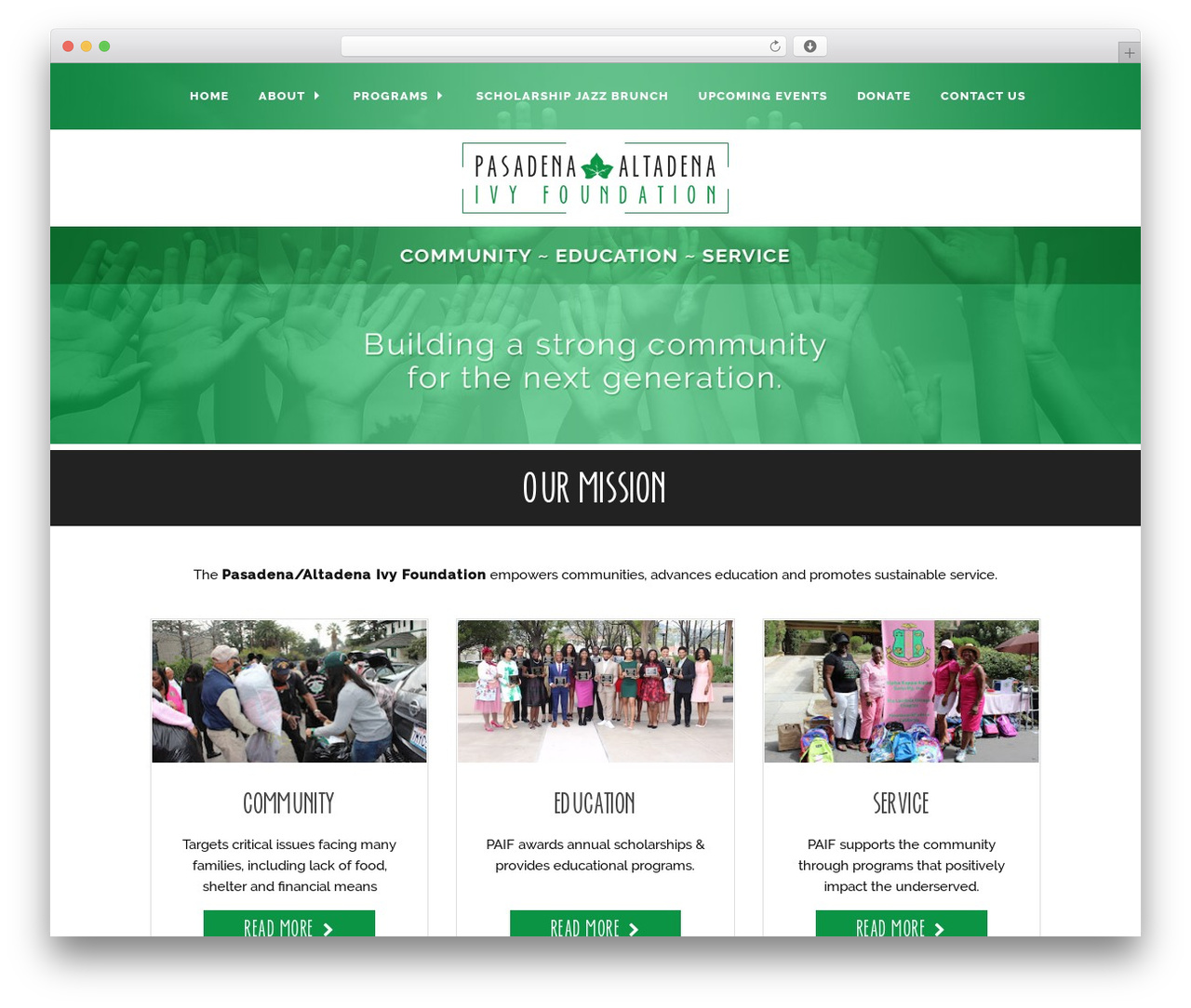 Theme WordPress TIM - thepaif.org