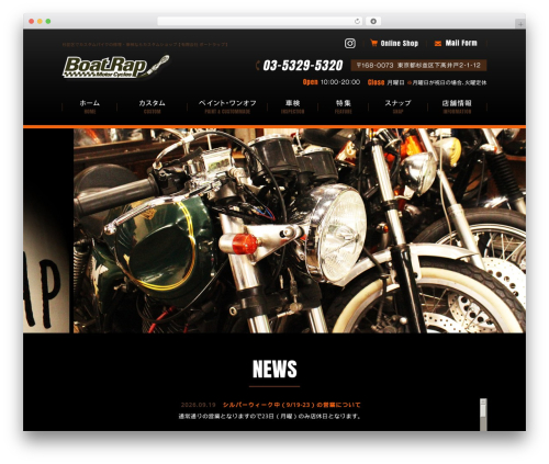 Custom article WordPress plugin - boat-rap.com