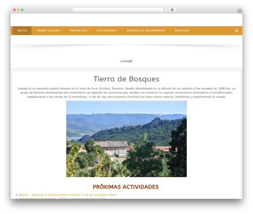 Accesspress Basic Pro best WordPress theme - lakabe.org