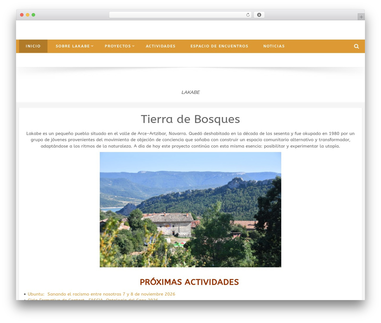 Accesspress Basic Pro best WordPress theme - lakabe.org