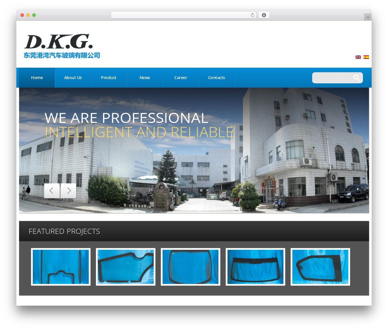 theme51347 WP theme - dkg.com.cn