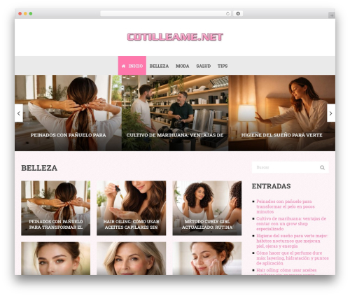 Cotilleame WordPress theme - cotilleame.net