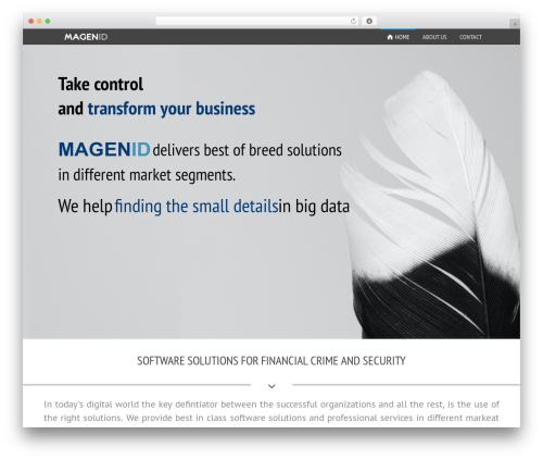 Wpbits addons for elementor pro WordPress plugin - magenid.com