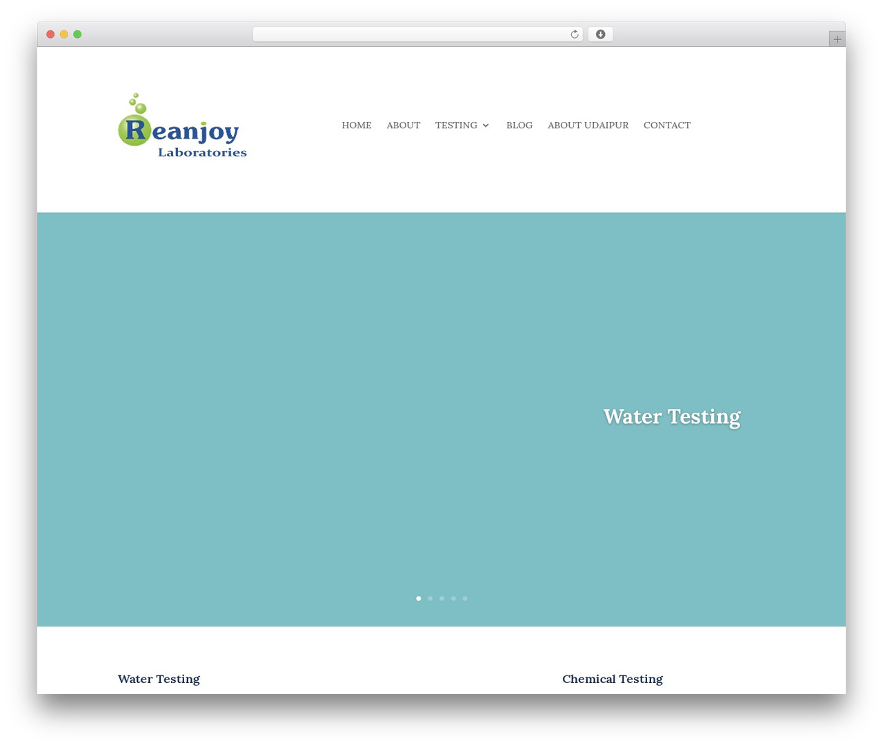 WordPress theme Divi - reanjoy.com