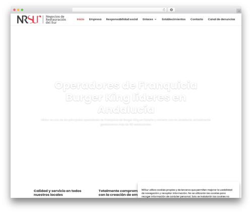WordPress theme Divi - negociosderestauraciondelsur.com