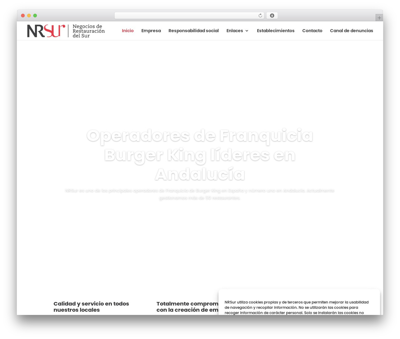 WordPress theme Divi - negociosderestauraciondelsur.com