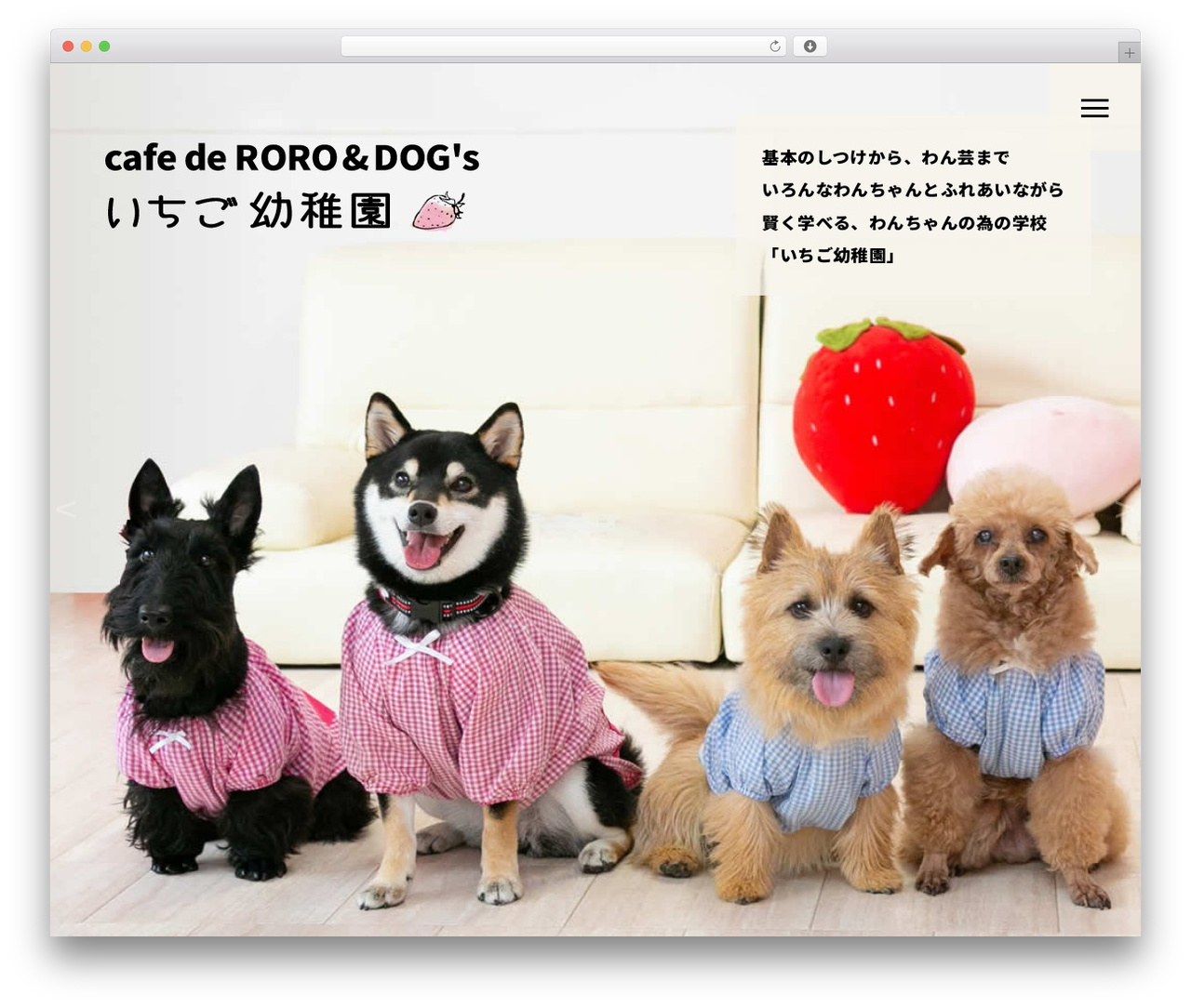WordPress website theme デフォルトテンプレート - roro-jam.com WordPress website theme デフォルトテンプレート - roro-jam.com
