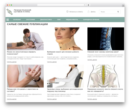 Theme WordPress constructor - prospinu.com