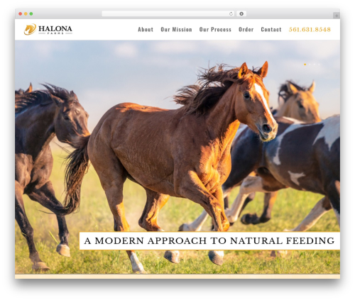 WordPress theme Divi - halonafarms.com