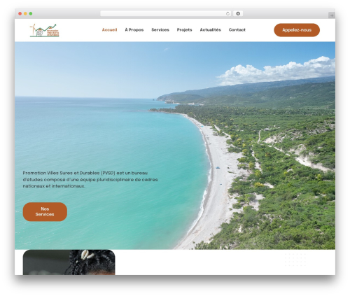Bizwheel core WordPress plugin - pvsdhaiti.com
