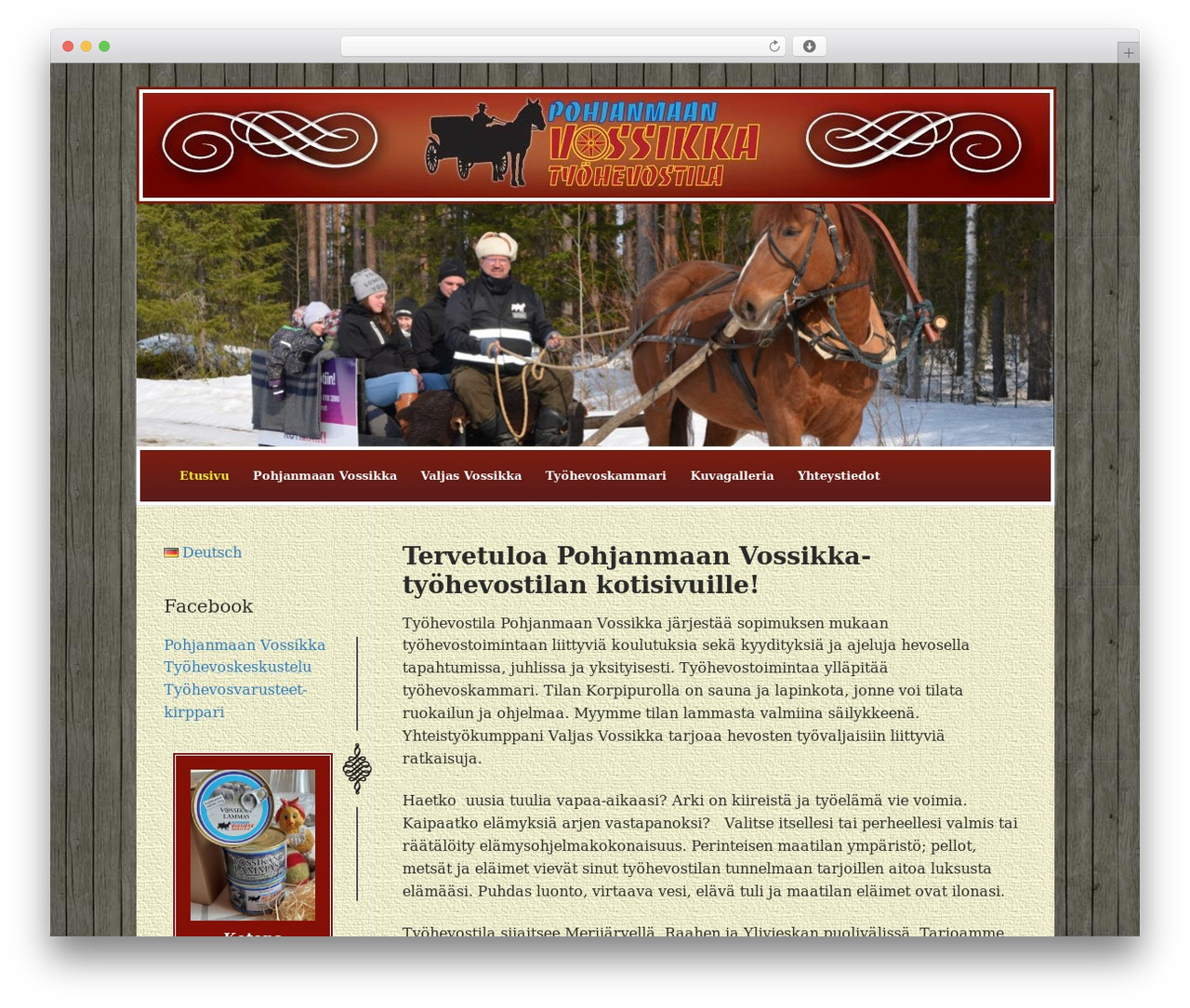 Customify WordPress theme - vossikka.com