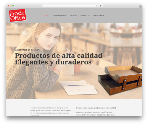 Terminus WordPress theme - produoffice.com