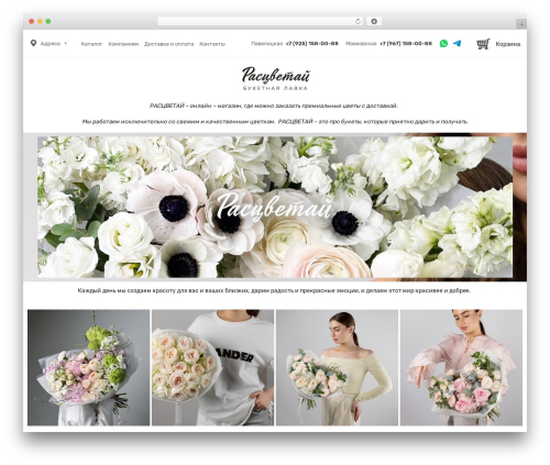 WordPress theme Phuler - rascvetay.moscow